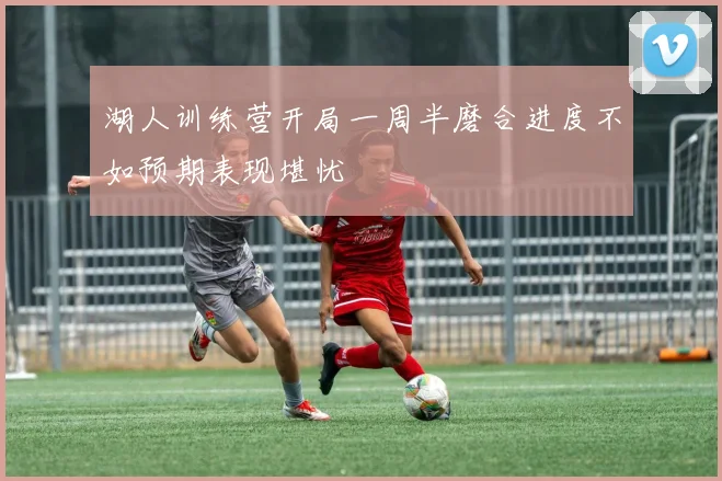 湖人训练营开局一周半磨合进度不如预期表现堪忧