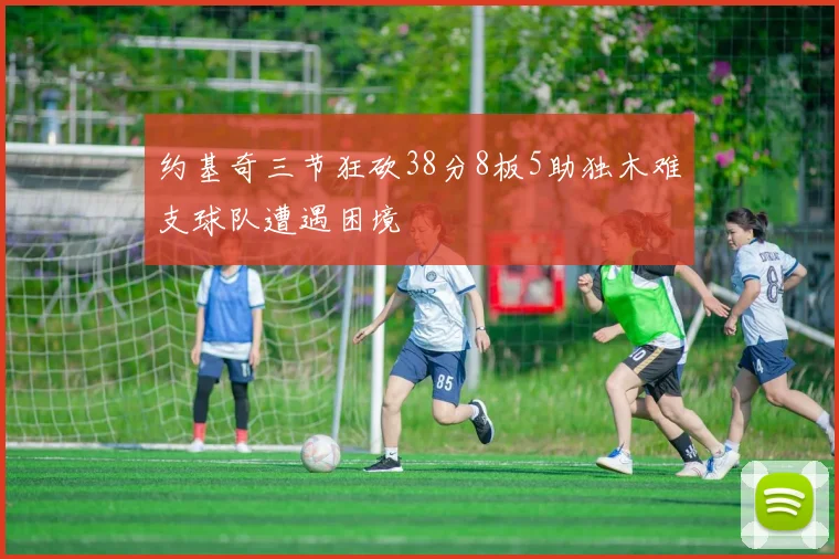 约基奇三节狂砍38分8板5助独木难支球队遭遇困境