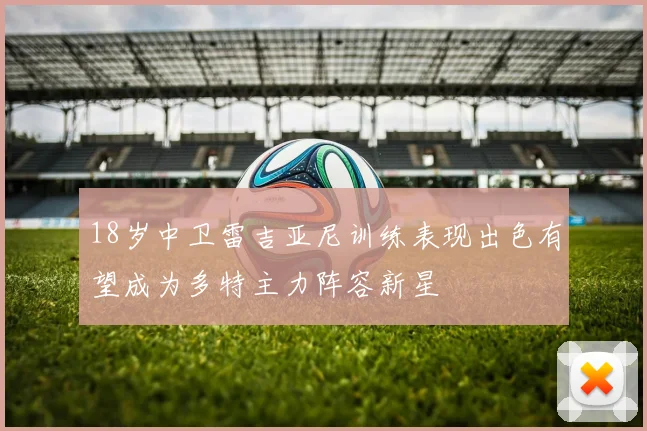 18岁中卫雷吉亚尼训练表现出色有望成为多特主力阵容新星